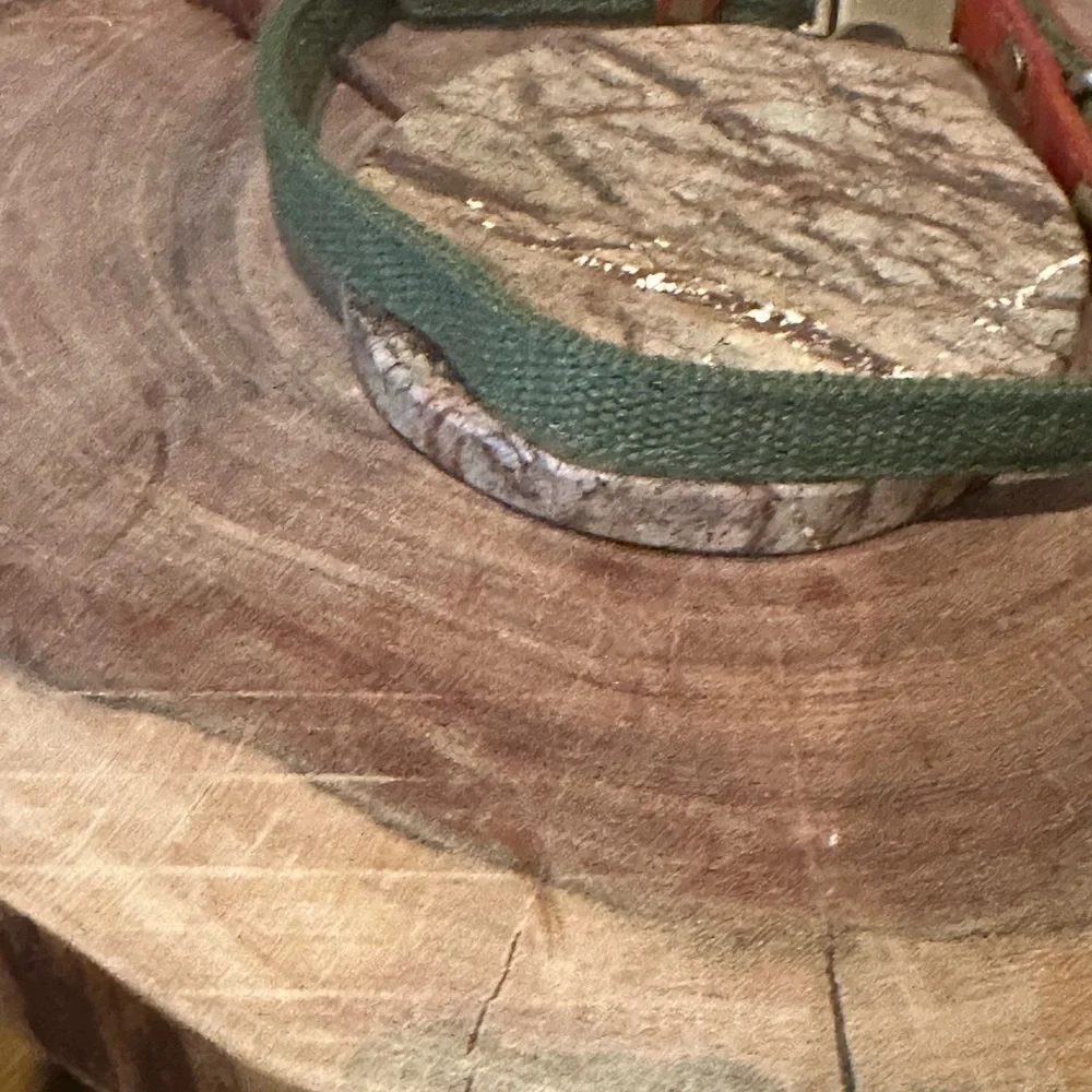 Ajustable Custom Dog Collar with Quick Release Buckle